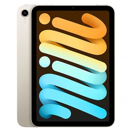 IPAD MINI 6TH GEN 256/WIFI OCC